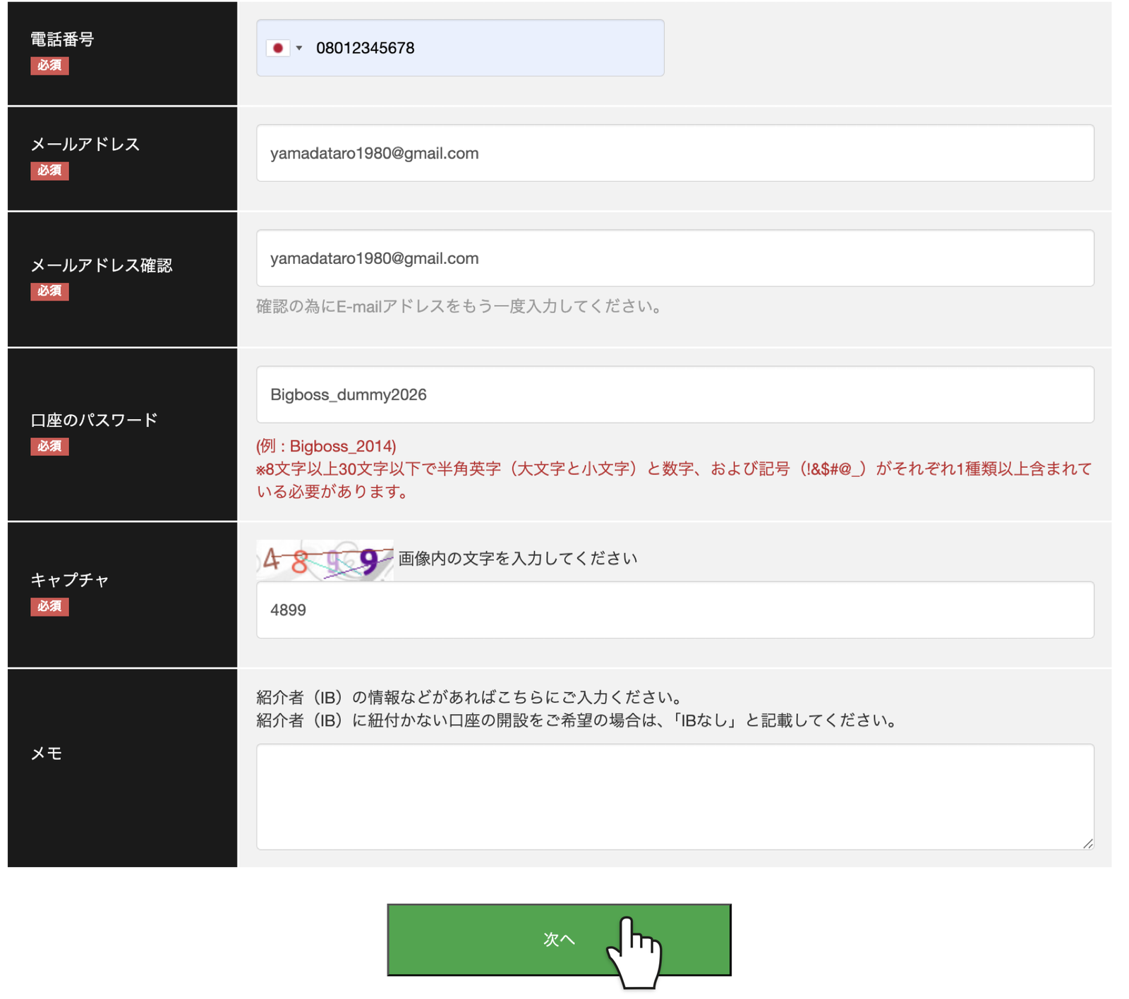 BigBoss通常口座開設のパスワード設定とキャプチャ入力画面