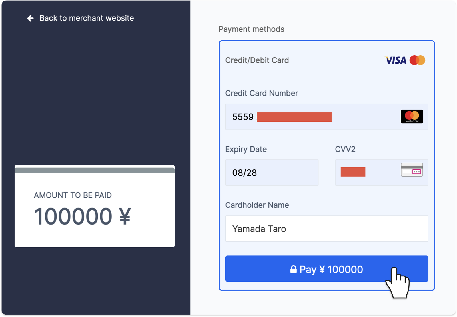 VISAカード入金の外部決済ページ（カード情報を入力してPayで確定）